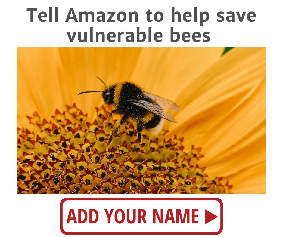 Tell Amazon to help save vulnerable bees. ADD YOUR NAME