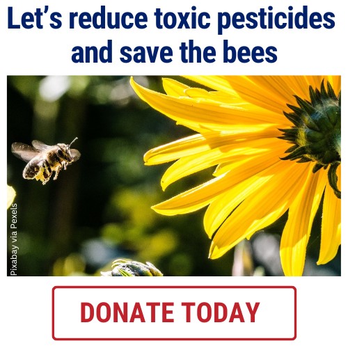 Let's reduce toxic pesticides and save the bees. DONATE TODAY