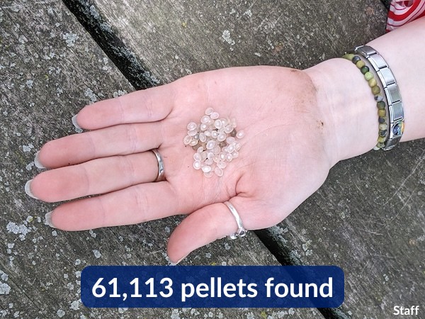 61,113 pellets found