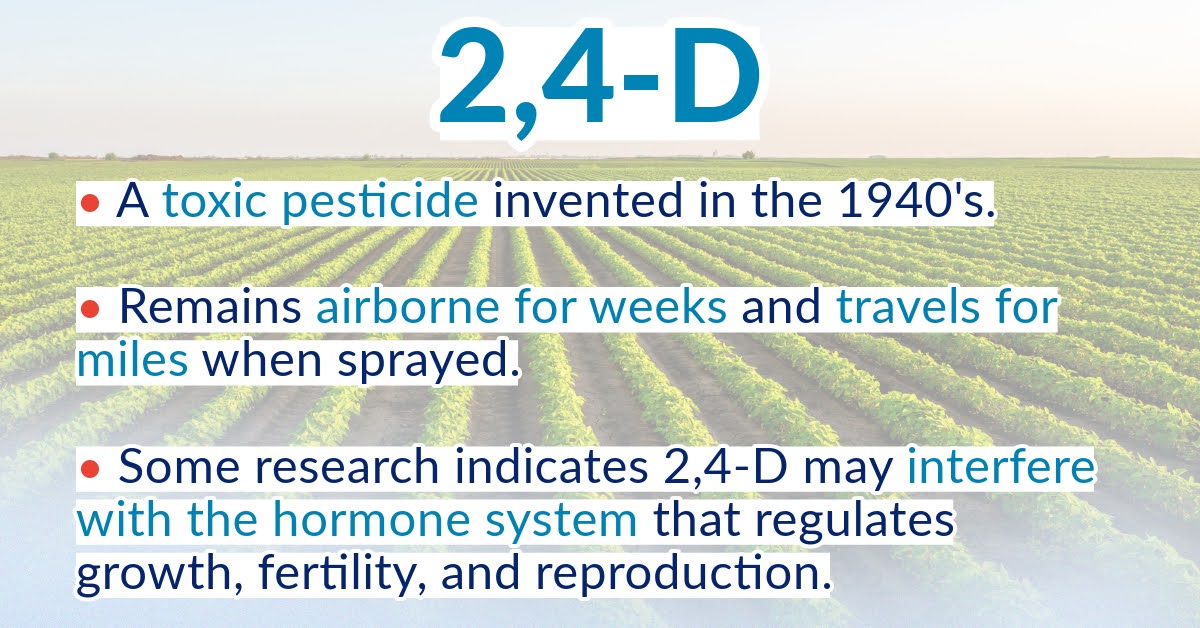 2,4-D is a toxic pesticide invented in the 1940s. It remains airborne for weeks and travels for miles when sprayed. Some research indicates 2,4-D may interfere with the hormone system that regulates growth, fertility, and reproduction.