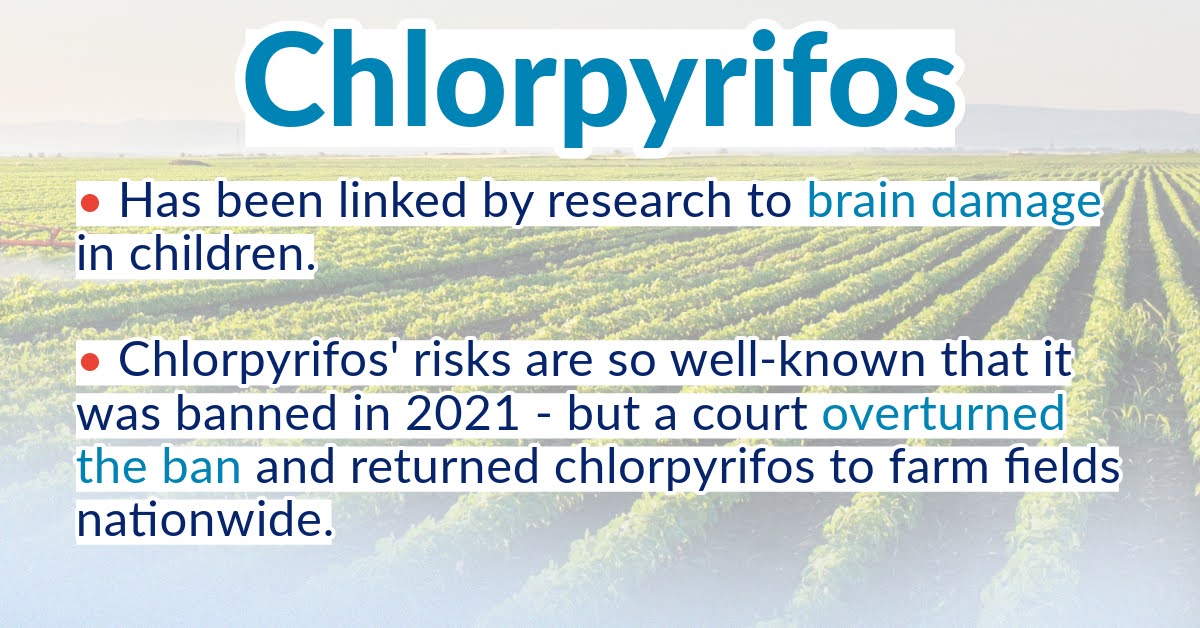 Chlorpyrifos has been linked by research to brain damage in children. Chlorpyrifos' risks are so well-known that it was banned in 2021 -- but a court overturned the ban and returned chlorpyrifos to farm fields nationwide.