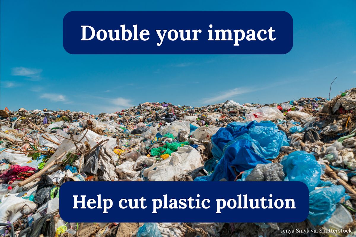Double your impact. Help cut plastic pollution
