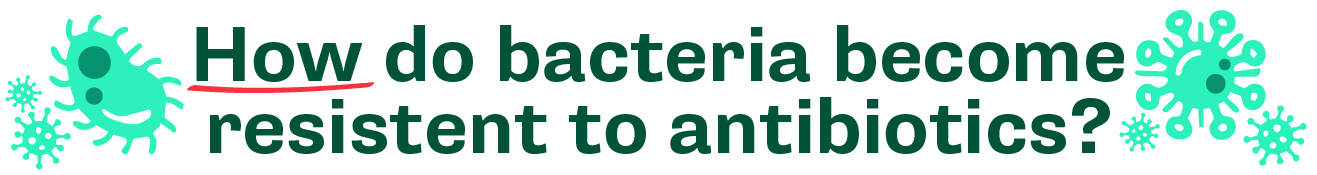 How do bacteria become resistant to antibiotics?