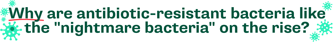 Why are antibiotic-resistant bacteria like the 