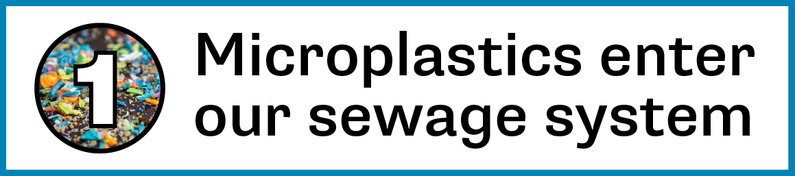 1. Microplastics enter our sewage system