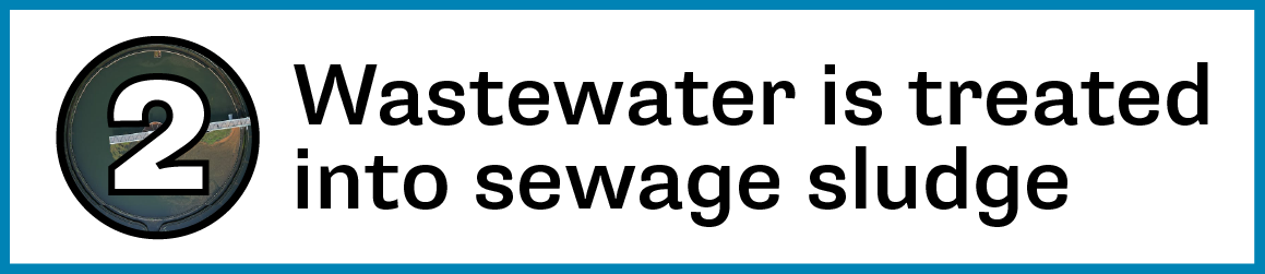 2. Wastewater is treated into sewage sludge