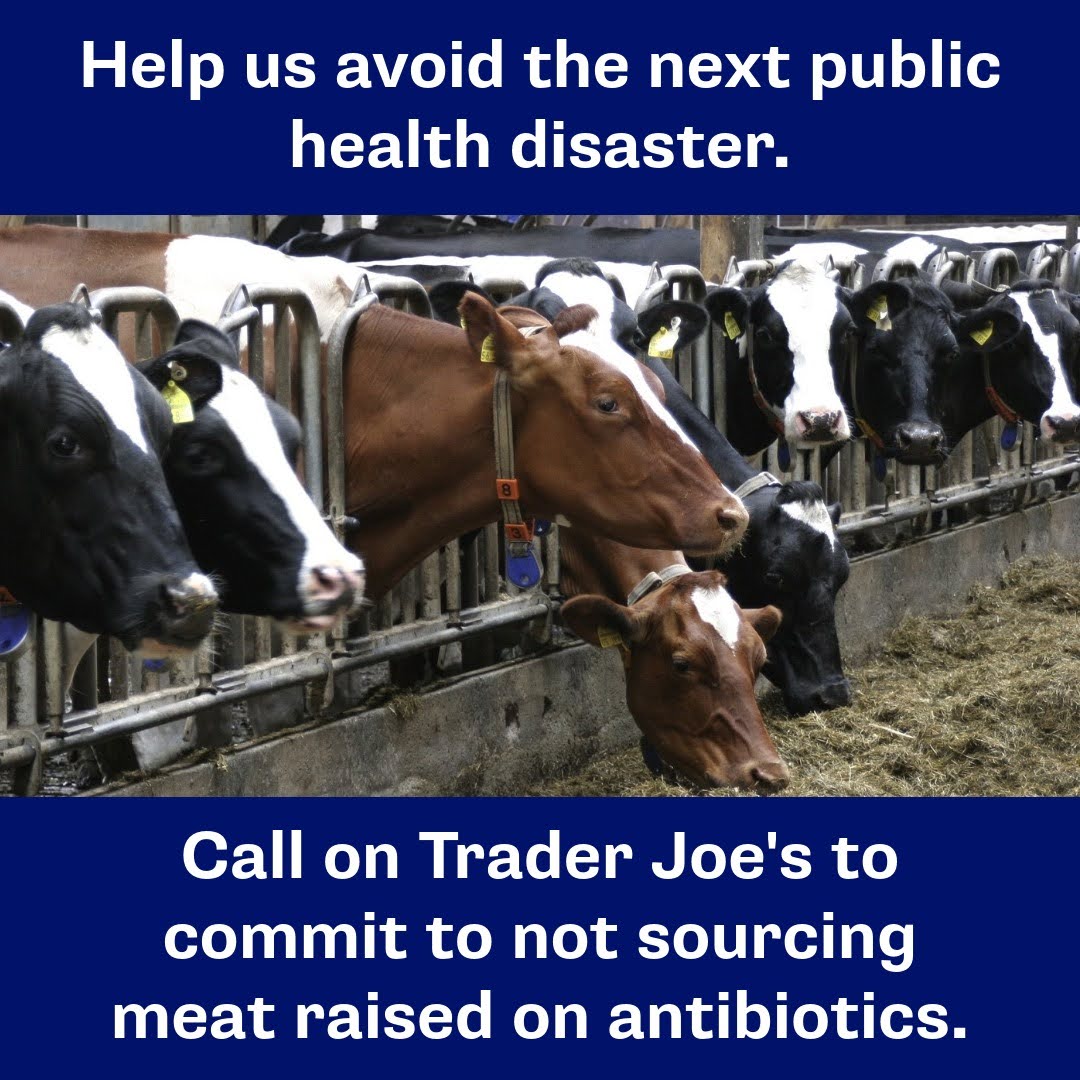 Help us avoid the next public health disaster. Call on Trader Joe's to commit to not sourcing meat raised with the routine use of antibiotics.