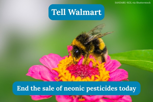 Tell Walmart: End the sale of neonic pesticides today