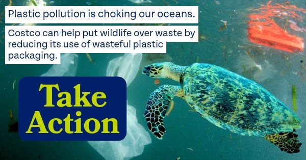 Plastic pollution is choking our oceans. Costco can help put wildlife over waste by reducing its use of wasteful plastic packaging. Take Action