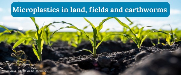 Microplastics in land, fields and earthworms.