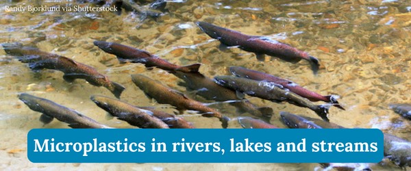 Microplastics in rivers, lakes and streams