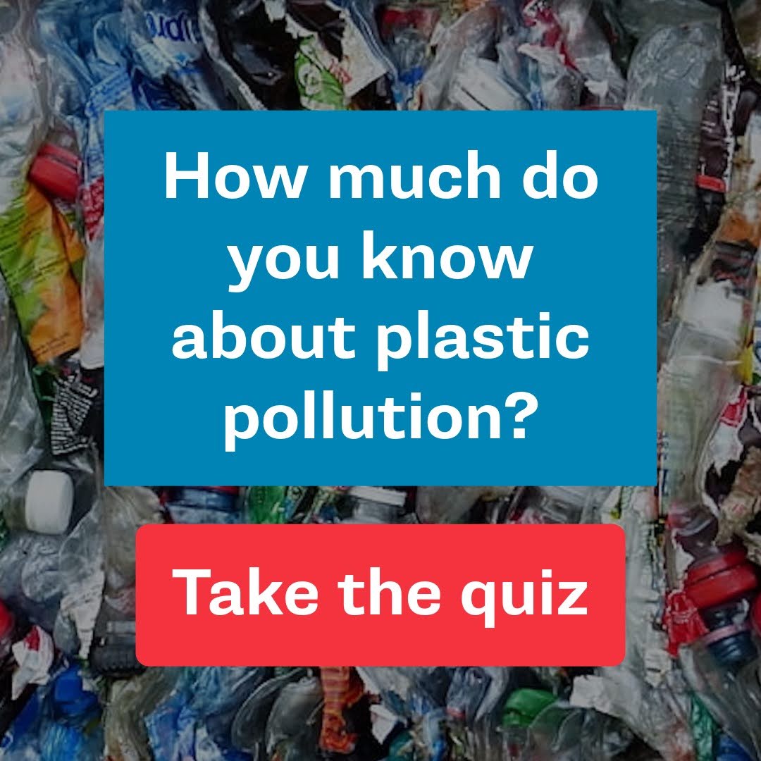 How much do you know about plastic pollution? Take the quiz