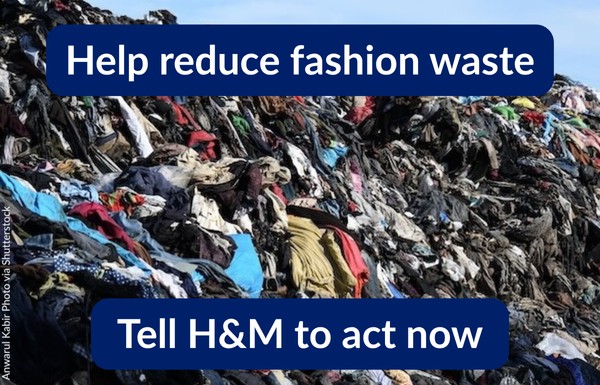 Help reduce fashion waste. Tell H&M to act now