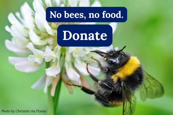 No bees, no food. Donate