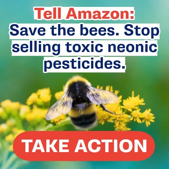 Tell Amazon: Save the bees. Stop selling toxic neonic pesticides. Take Action