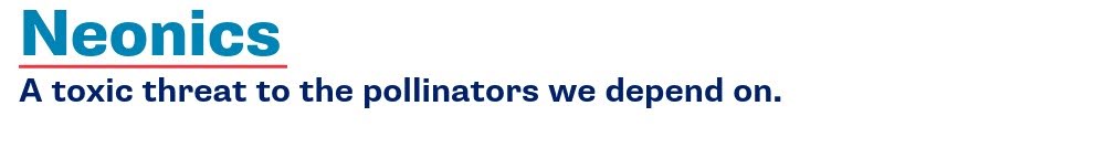 Neonics, a toxic threat to the pollinators we depend on