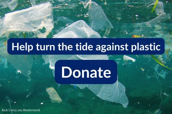 Help turn the tide against plastic. Donate