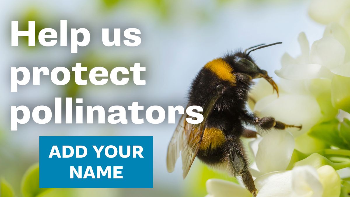 Help us protect pollinators. Add your name